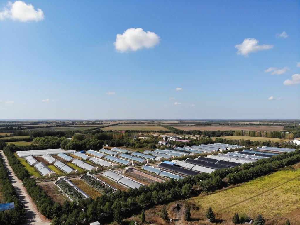 興十四村：現代農業推動產業振興