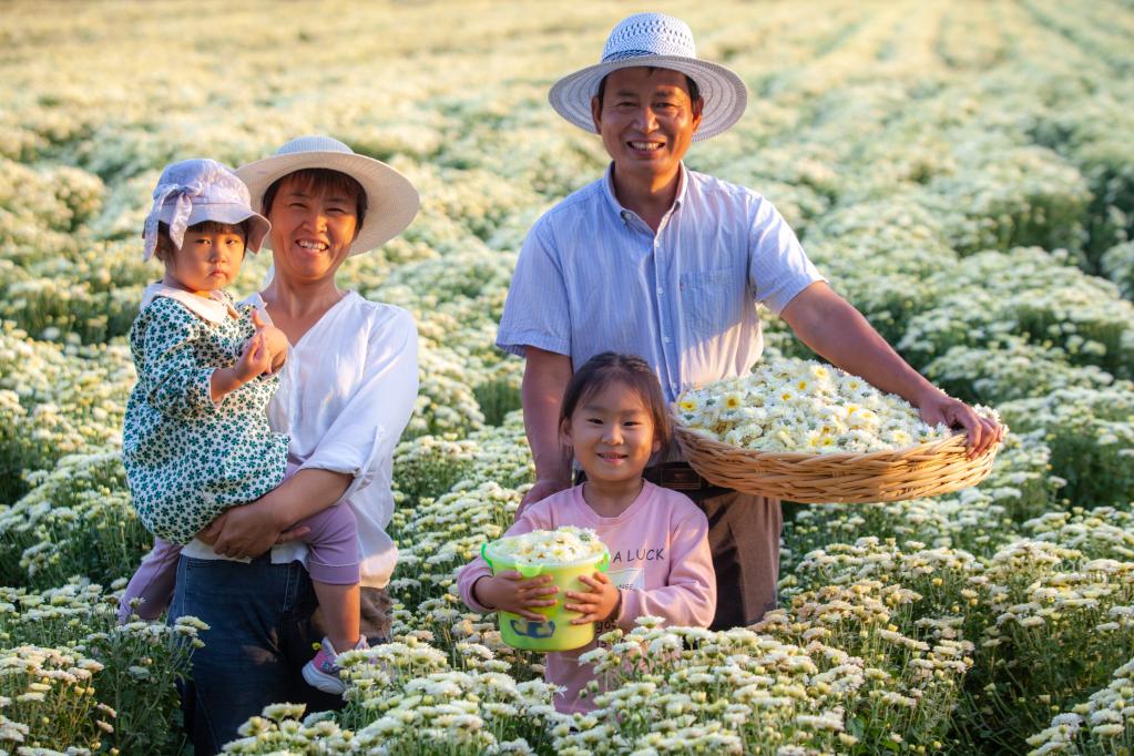新華全媒+丨我們的田野&mdash;&mdash;我的豐收季