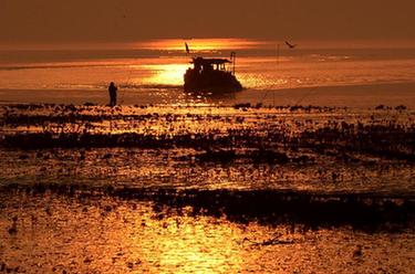 鏡觀中國&middot;新華社國內新聞照片一周精選