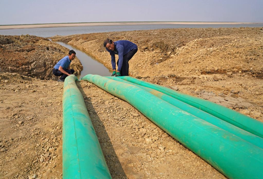 鄱陽湖：為候鳥&ldquo;留水&rdquo;