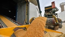 新華全媒+丨大數據監控 內環流控溫&mdash;&mdash;科學儲糧守好&ldquo;大國糧倉&rdquo;