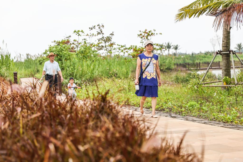 ?？冢汉忧灏毒G的邁雅河濕地公園