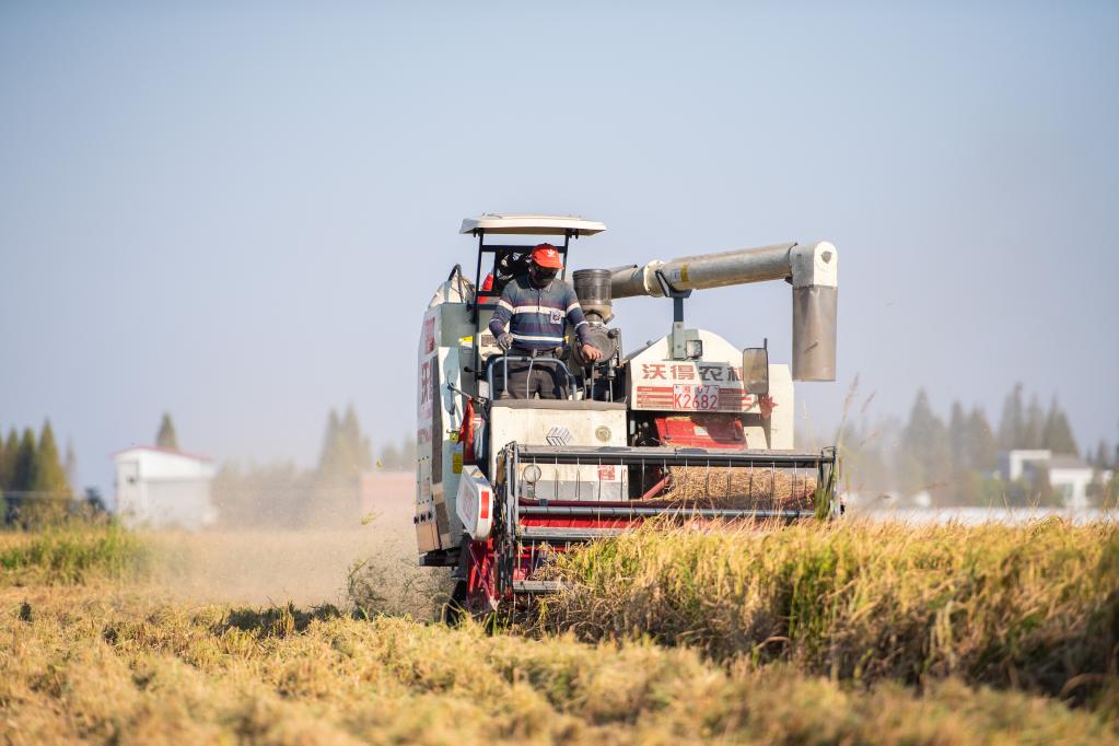 金秋時節收割忙