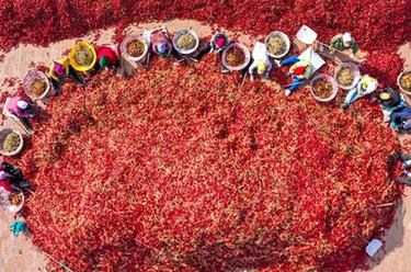 鏡觀中國&middot;新華社國內(nèi)新聞?wù)掌恢芫x