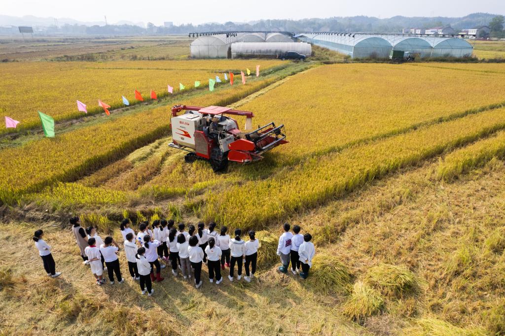 新華全媒＋丨&ldquo;田間課堂&rdquo;學農事