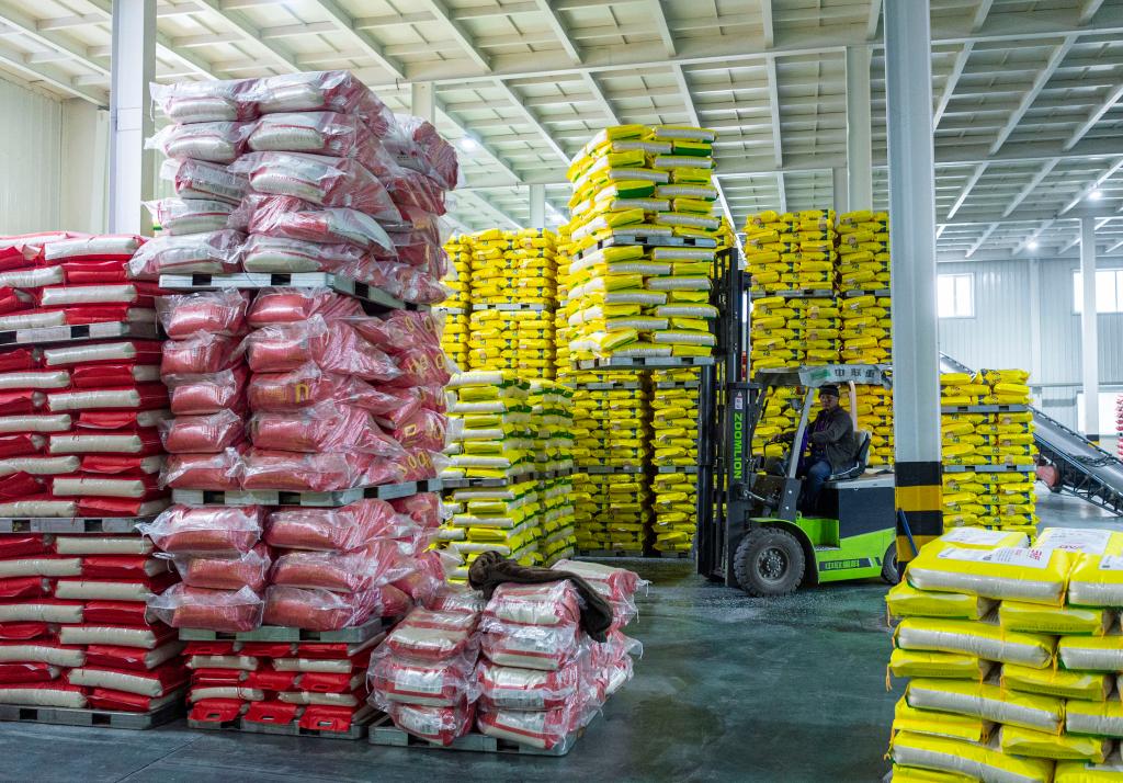 新華全媒+丨產糧第一大省為&ldquo;中國飯碗&rdquo;添米加飯