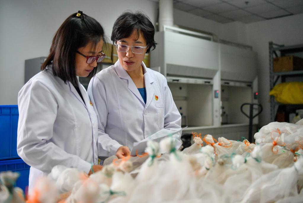 二十大代表在基層丨小麥育種人時曉偉&mdash;&mdash;科學育種助力小麥優質高產