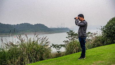 新華全媒+丨&ldquo;鳥博士&rdquo;見證長江上游最大江心島生態(tài)蝶變