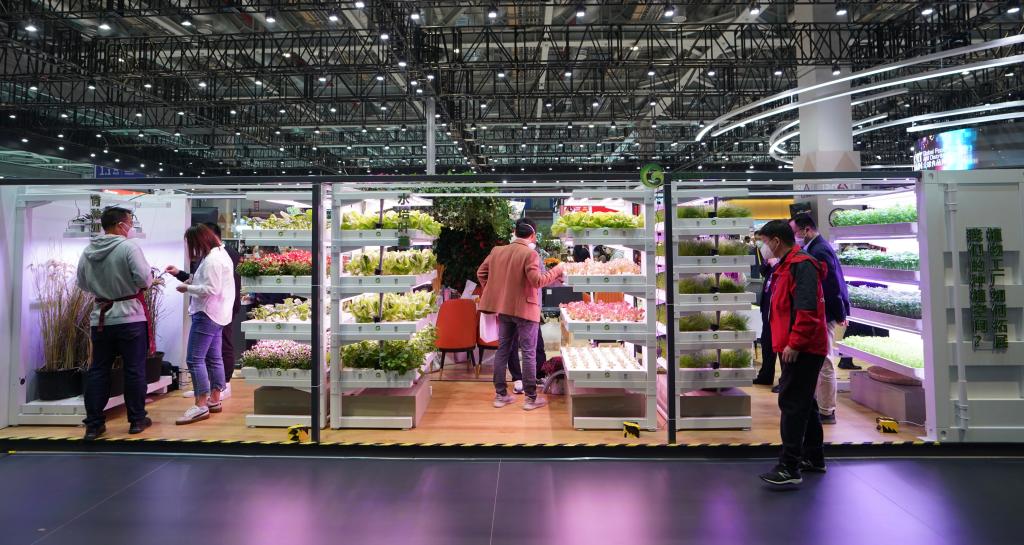 進博會上看&ldquo;集裝箱里種菜&rdquo;