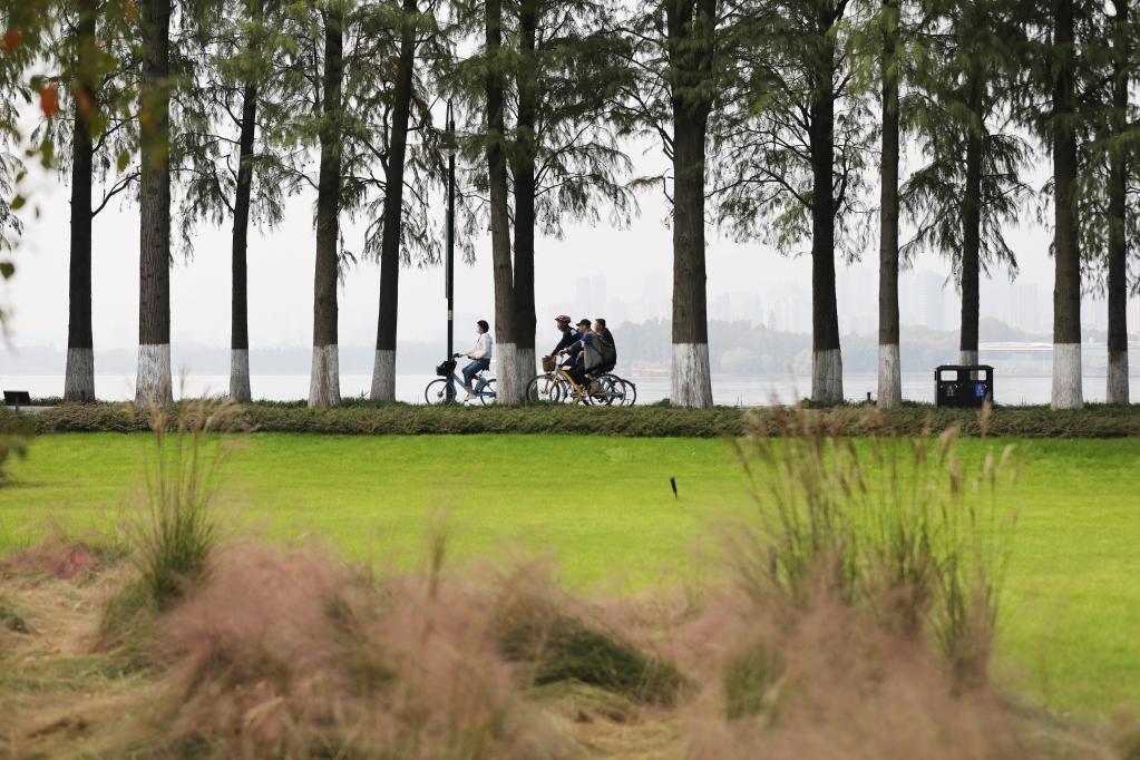 特稿：從濕地之美見證中國生態&ldquo;密碼&rdquo;啟迪世界