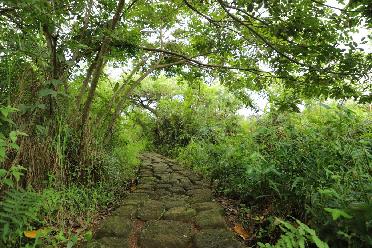 盧旺達(dá)首都基加利獲&ldquo;國際濕地城市&rdquo;認(rèn)證