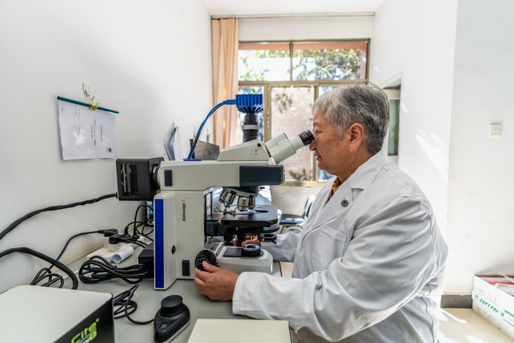 新時代新征程新偉業&middot;二十大代表在基層丨朱兆云：以科技創新推動民族藥高質量發展