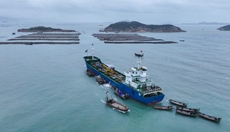 鮑魚開啟&ldquo;南下越冬&rdquo;之旅