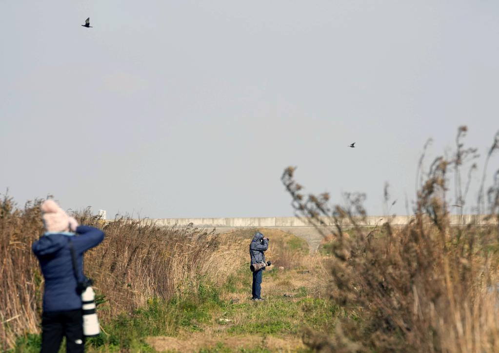 &ldquo;觀鳥達人&rdquo;匯聚東灘 首屆濱海社區觀鳥生活節在滬舉行