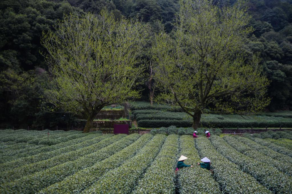 年終報道&middot;2022奔向美好｜經濟發展破浪向前