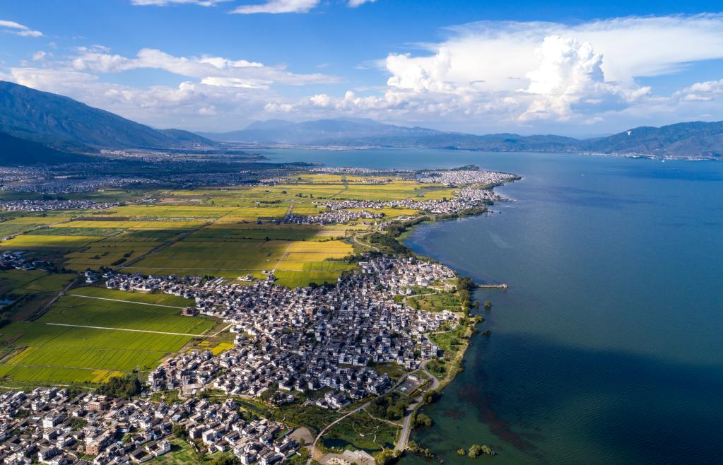 年終報(bào)道&middot;2022奔向美好｜鄉(xiāng)村振興新圖景