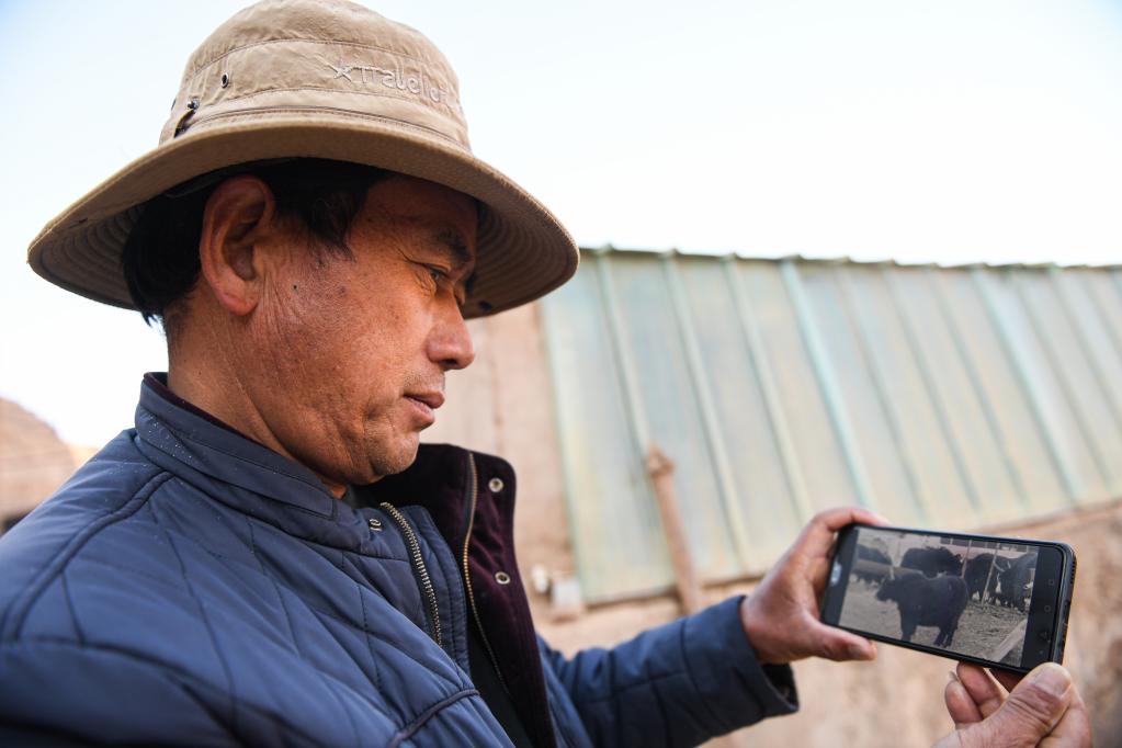 新春走基層丨孫海云的&ldquo;智慧養(yǎng)牛&rdquo;路