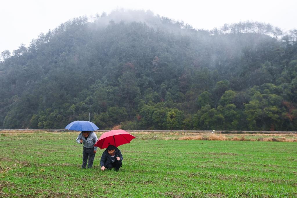 浙江臨安：培育青創人才 助力鄉村振興