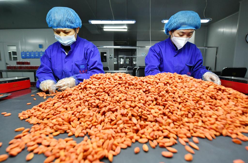 寧夏：枸杞產業迎來&ldquo;開門紅&rdquo;