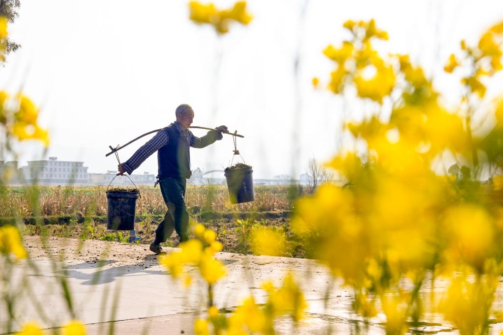 早春農(nóng)事忙