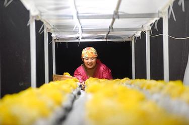 山東沂源：&ldquo;產(chǎn)業(yè)工人&rdquo;園區(qū)忙春