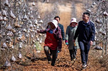 代表委員履職故事｜全國人大代表袁海波：&ldquo;我是農(nóng)民工，更懂農(nóng)民工&rdquo;