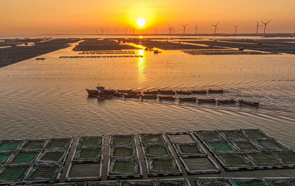 山東榮成：&ldquo;海上田園&rdquo;春耕忙