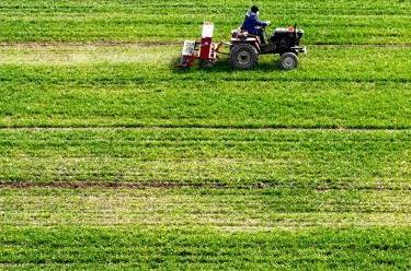 春暖農事忙&nbsp;