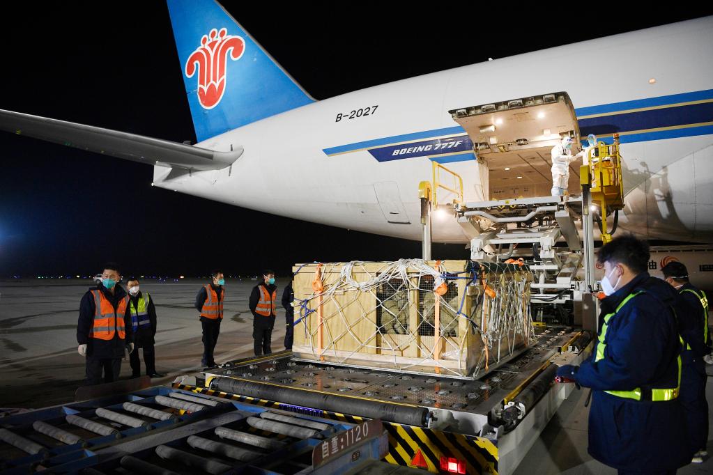 新華全媒+丨新西蘭&ldquo;羊包機&rdquo;助力拓展寧夏開放&ldquo;朋友圈&rdquo;