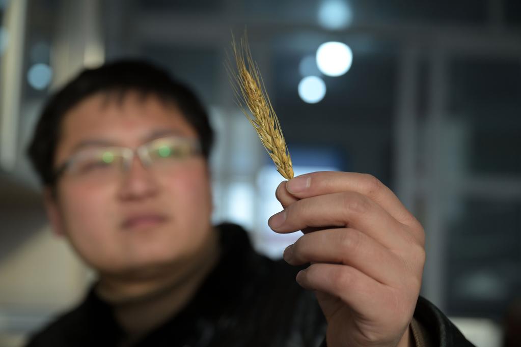 新華全媒+丨返鄉(xiāng)&ldquo;新農(nóng)人&rdquo;的&ldquo;興農(nóng)夢(mèng)&rdquo;