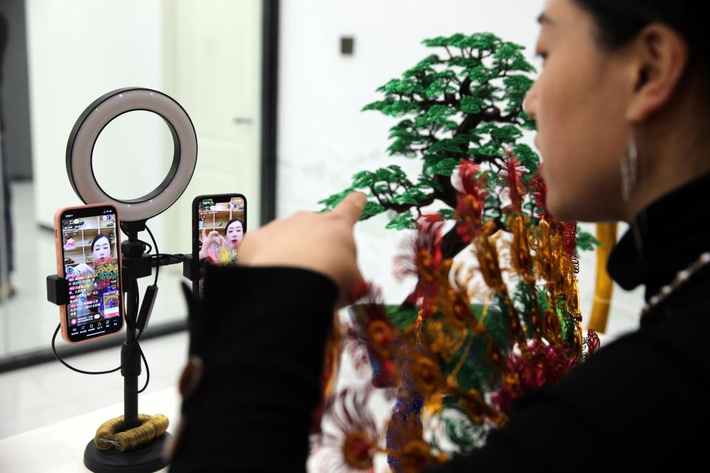 山東濱州：足不出戶&ldquo;掙工資&rdquo;