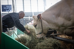 第59屆法國國際農業博覽會即將開幕