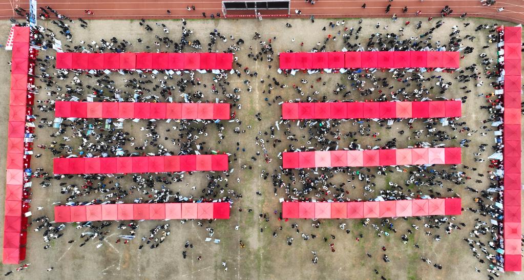湖南衡陽：高校畢業生雙選會人氣旺