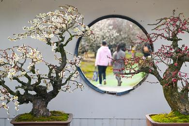 鏡觀中國&middot;新華社國內新聞照片一周精選