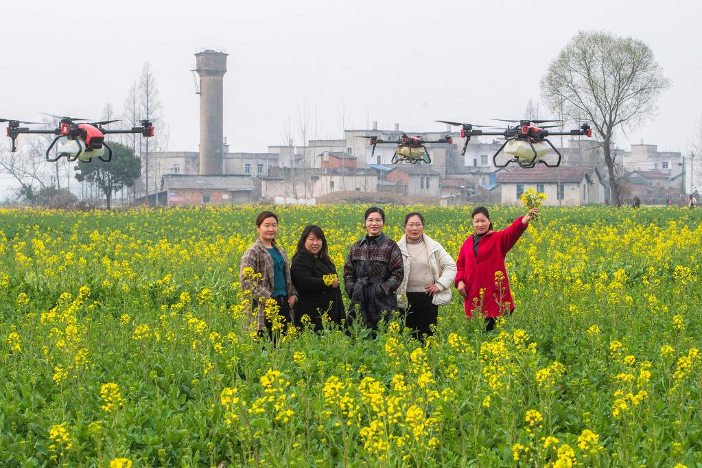 湖北天門女&ldquo;飛手&rdquo;：在田野上空播撒希望