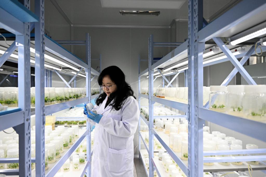 新華全媒+丨科學島上的創新&ldquo;她力量&rdquo;