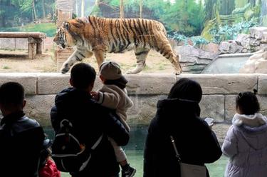 春日尋樂&ldquo;動物王國&rdquo;