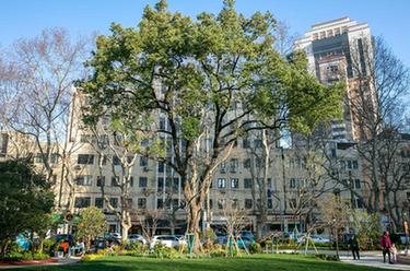 新華全媒+丨60秒！帶你&ldquo;穿越&rdquo;綠色上海