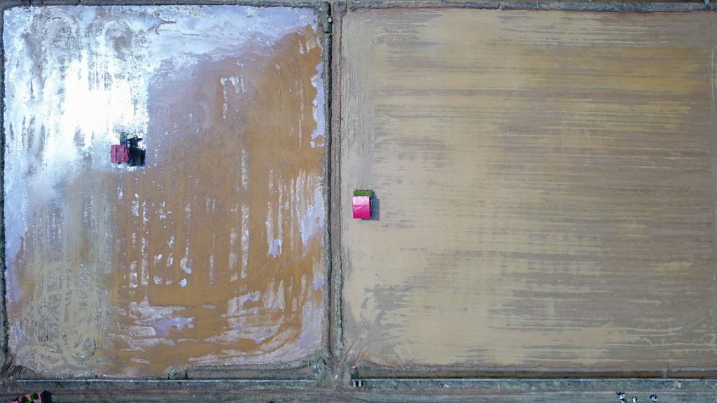 春季耕種正當(dāng)時(shí) 機(jī)械插秧&ldquo;加速度&rdquo;