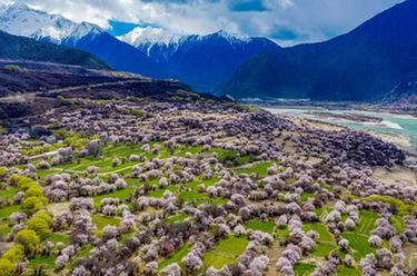 鏡觀中國&middot;新華社國內(nèi)新聞?wù)掌恢芫x