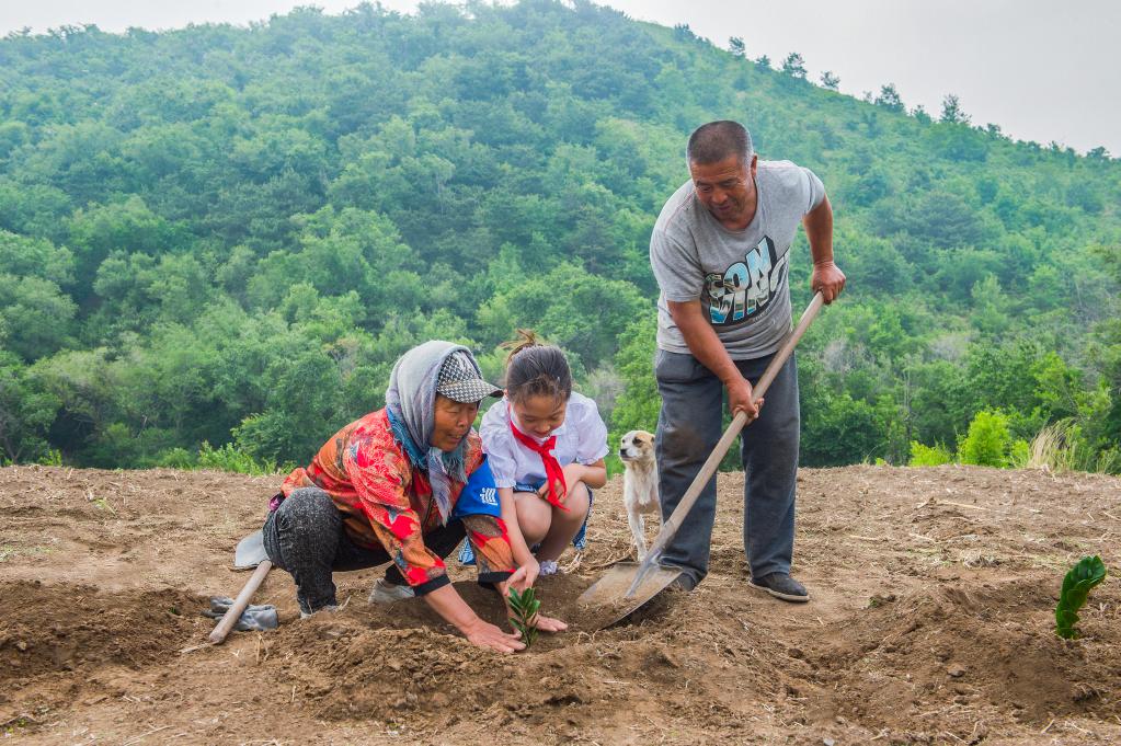 新華全媒+丨夫妻植樹護林40年，荒山禿嶺變綠洲&ldquo;鷺嶺&rdquo;