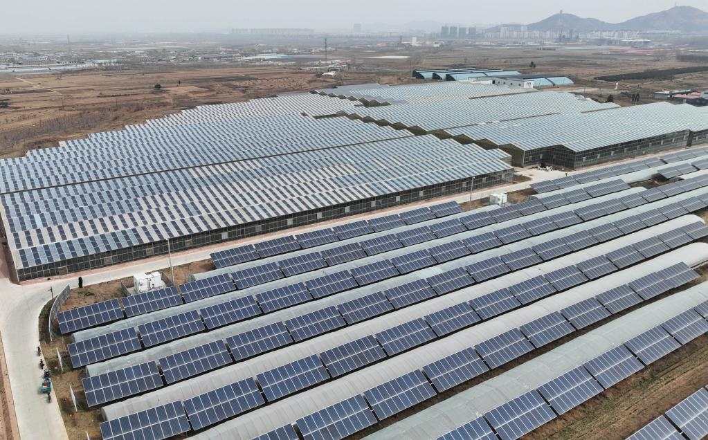 河北撫寧：&ldquo;農光互補&rdquo;低碳富農