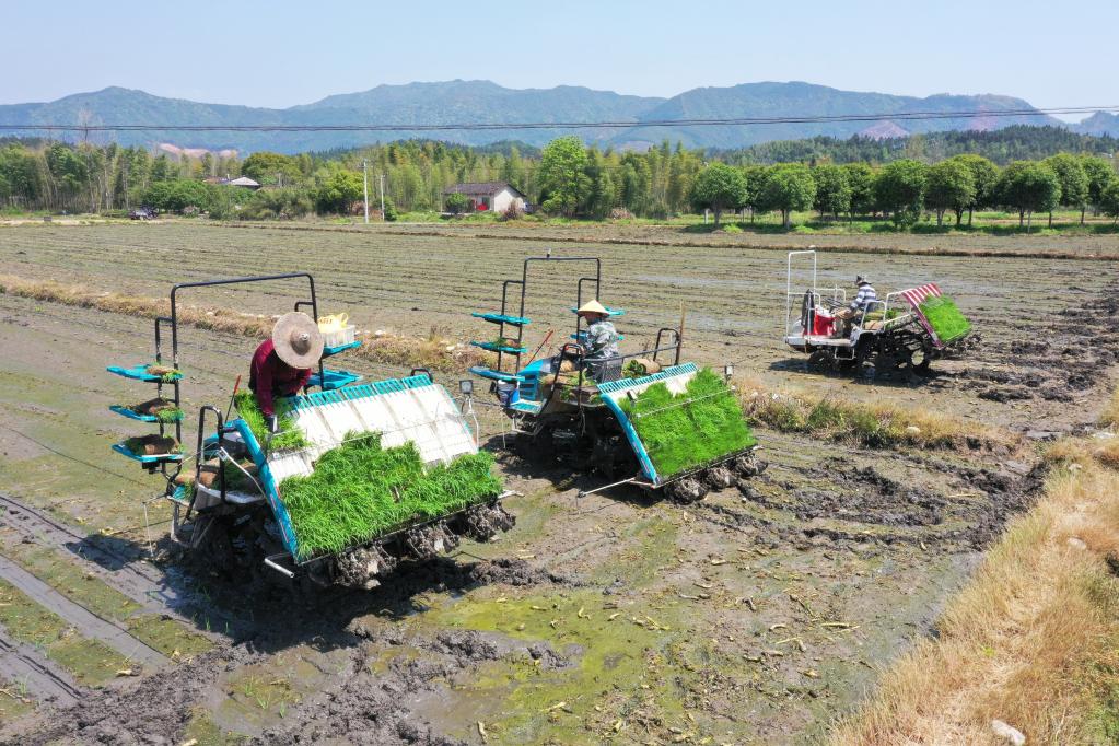 福建浦城：全程機械化為再生稻春耕春種按下&ldquo;快進鍵&rdquo;