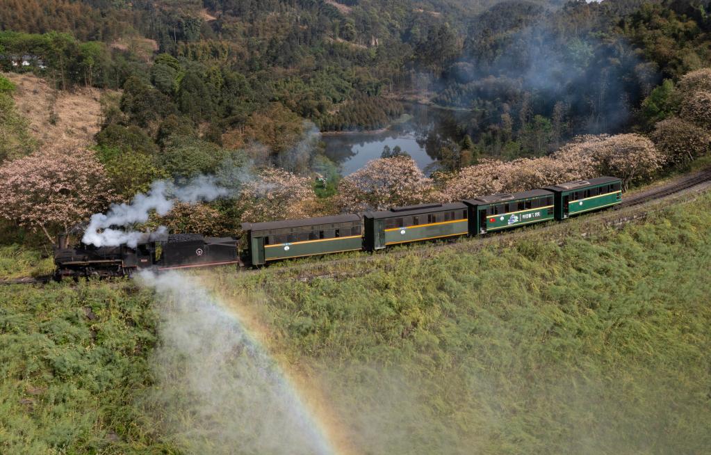 四川犍為：桐子花開