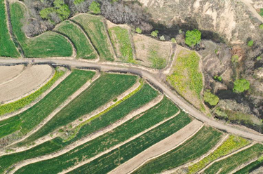 春日大地&ldquo;調色板&rdquo;