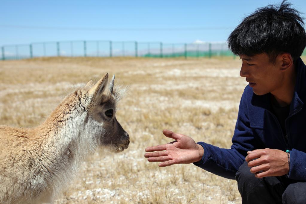 青?？煽晌骼铮罕痪戎亓缪蛴揍套聣殉砷L