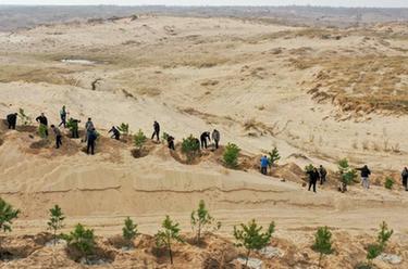 給科爾沁沙地披&ldquo;綠裝&rdquo;