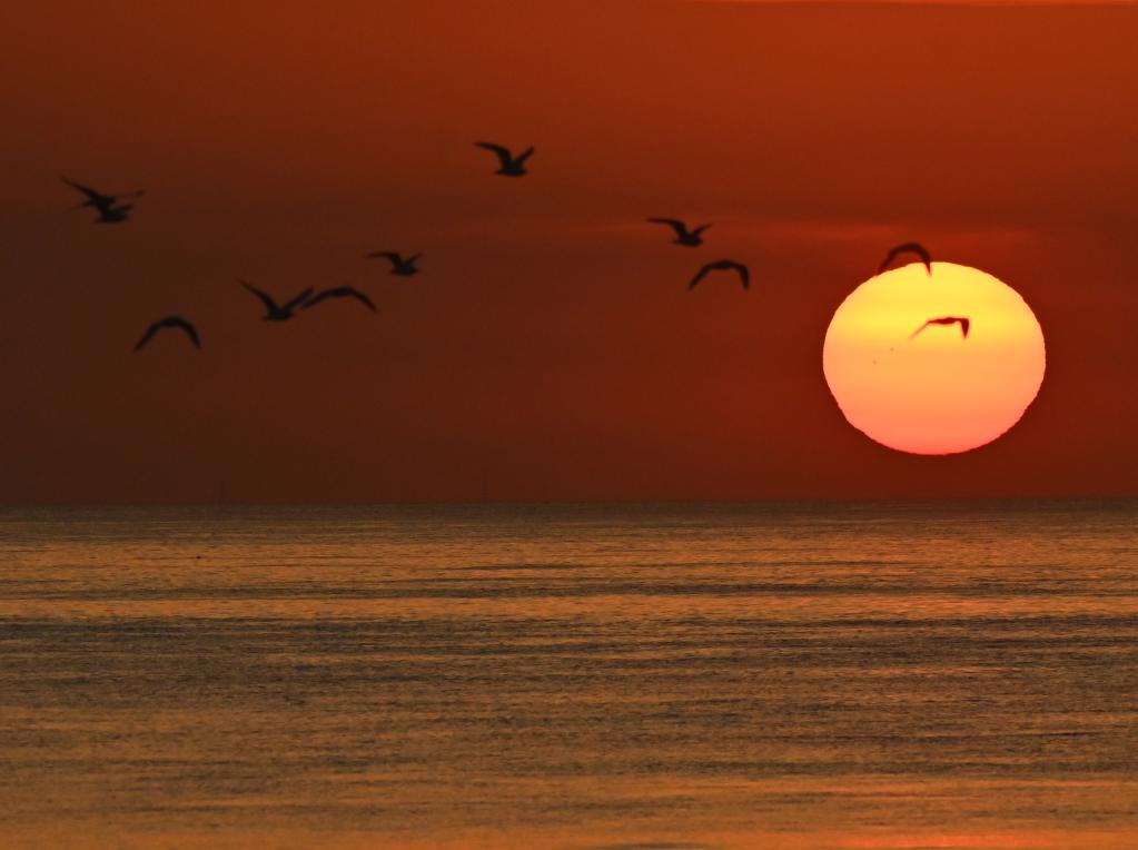 國(guó)際&middot;一周看天下