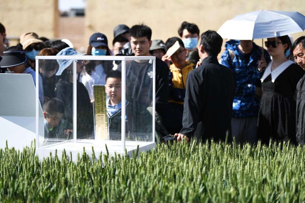 &ldquo;只有河南&middot;戲劇幻城&rdquo;引游客