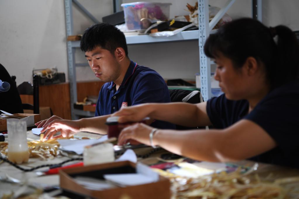 繪出美麗人生&mdash;&mdash;蘆葦畫(huà)非遺傳承人助殘扶困的故事